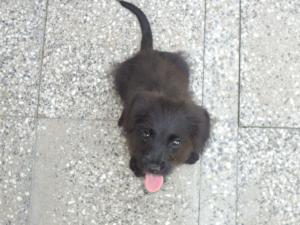 Прикачена снимка