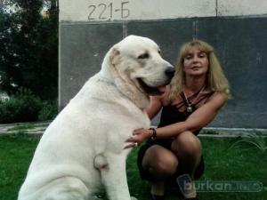 Прикачена снимка