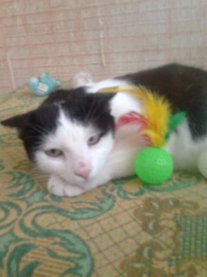 Прикачена снимка