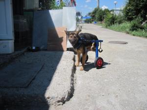 Прикачена снимка