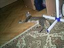 Прикачена снимка