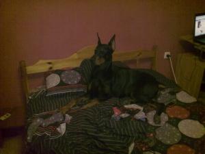 Прикачена снимка
