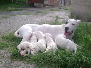 Прикачена снимка