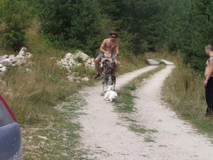 Прикачена снимка
