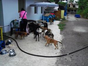 Прикачена снимка