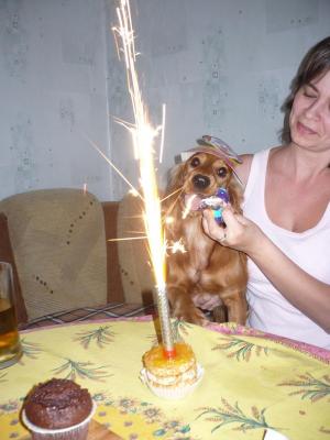 Прикачена снимка