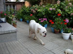 Прикачена снимка