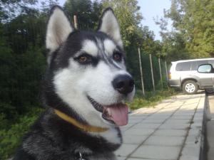Прикачена снимка