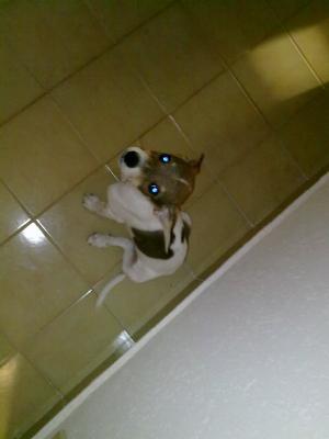Прикачена снимка