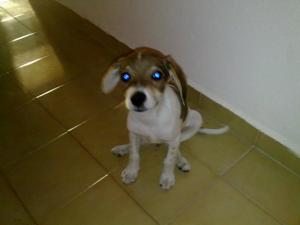 Прикачена снимка