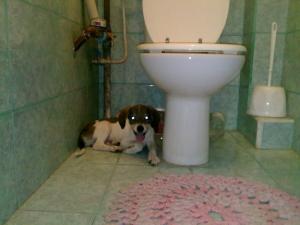 Прикачена снимка