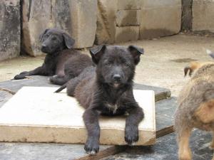 Прикачена снимка