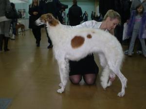 Прикачена снимка