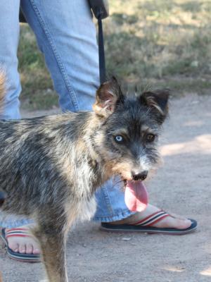 Прикачена снимка