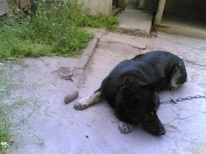 Прикачена снимка