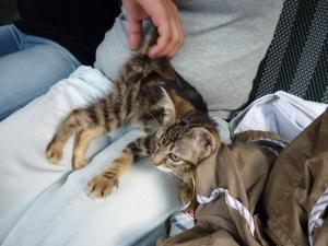 Прикачена снимка