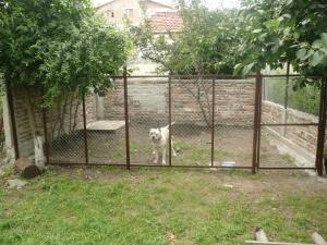 Прикачена снимка