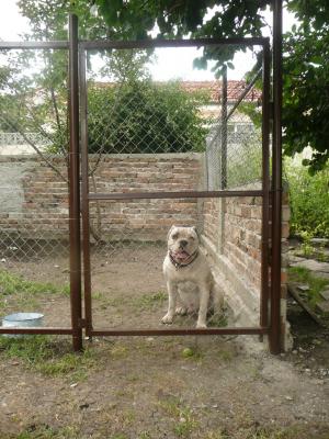Прикачена снимка