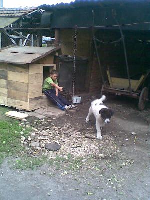 Прикачена снимка