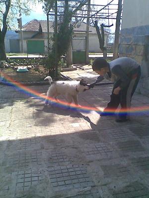 Прикачена снимка