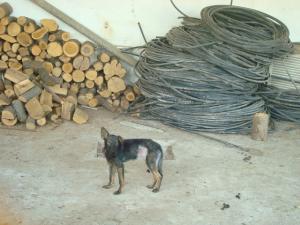 Прикачена снимка