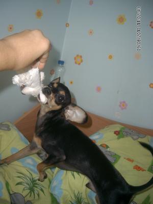 Прикачена снимка