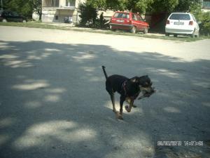 Прикачена снимка