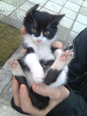 Прикачена снимка