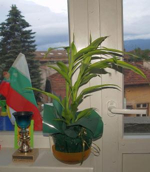 Прикачена снимка