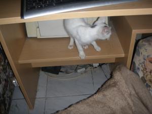 Прикачена снимка