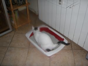 Прикачена снимка