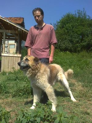 Прикачена снимка