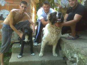 Прикачена снимка
