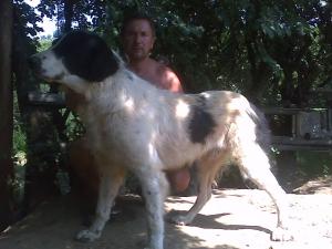 Прикачена снимка