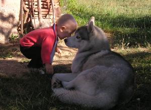Прикачена снимка