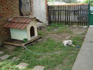 Прикачена снимка