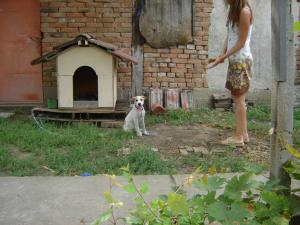 Прикачена снимка
