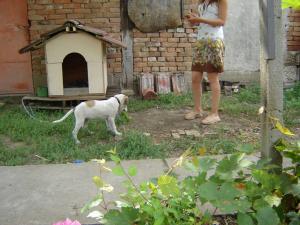 Прикачена снимка