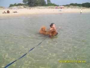 Прикачена снимка