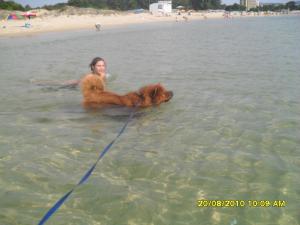 Прикачена снимка