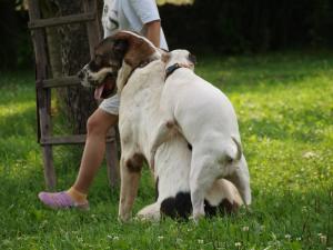 Прикачена снимка