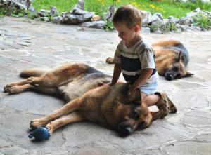 Прикачена снимка