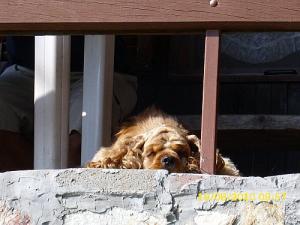 Прикачена снимка