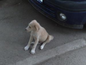 Прикачена снимка