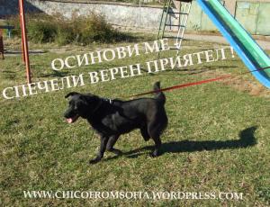 Прикачена снимка