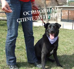 Прикачена снимка