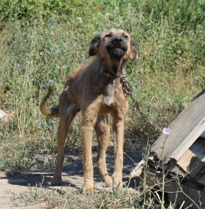 Прикачена снимка