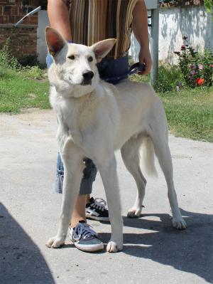 Прикачена снимка