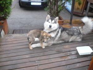 Прикачена снимка