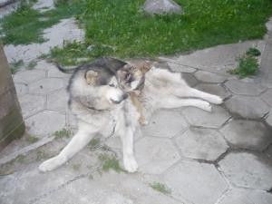 Прикачена снимка